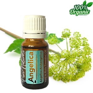 Engelwortel Angelica Etherische olie BIO PUUR