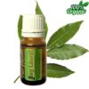 Laurier - Bay Laurel BIO Etherische Olie