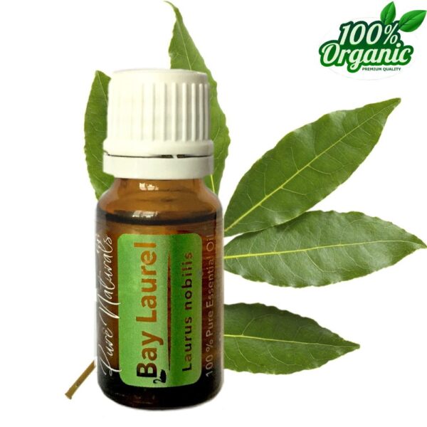 Laurier - Bay Laurel BIO Etherische Olie