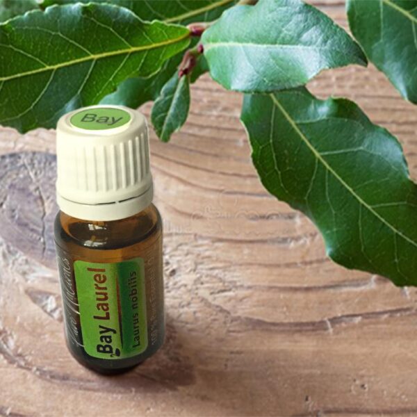 laurier etherische olie BIOLOGISCHE bay laurel