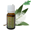 cajeput kajeputi essentiële olie aromatherapie biologisch
