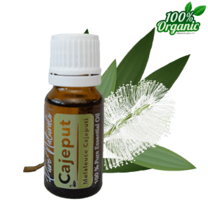 cajeput kajeputi essentiële olie aromatherapie biologisch