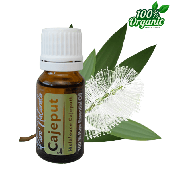 cajeput kajeputi essentiële olie aromatherapie biologisch
