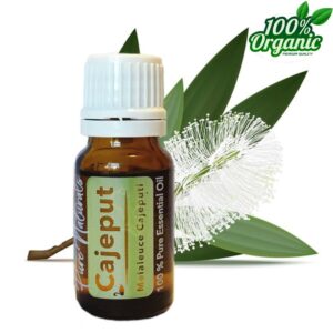 cajeput kajeputi BIOLOGISCHE etherische olie kopen