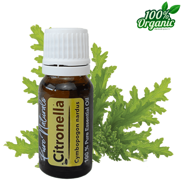 Citronella Citronella essentiële olie aromatherapie biologisch