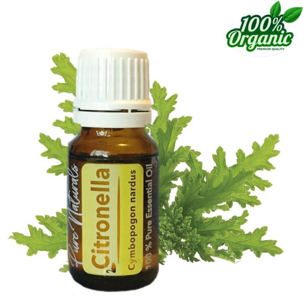 Citronella biologische etherische olie kopen essentiële aromatherapie