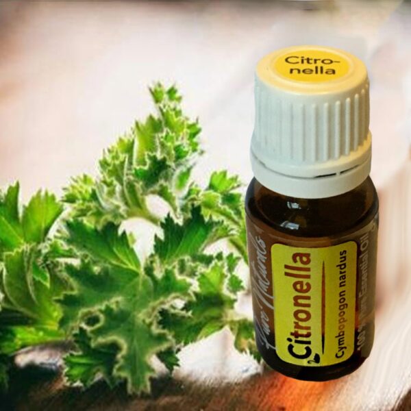 Citronella etherische olie BIO Essential oil