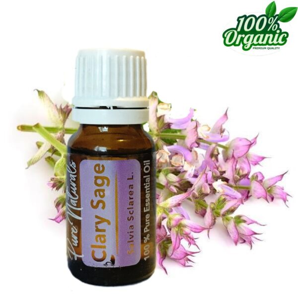Clary-Sage-BIO-etherische-olie Scharlei biologische etherische olie kopen