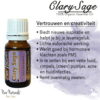 Clary-Sage-etherische-olie-toepassingen Scharlei biologische etherische olie kopen