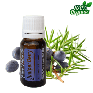 Jeneverbes etherische olie - biologisch - puur - aromatherpie