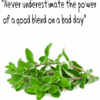 Marjolein qoute Marjolein qoute