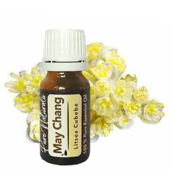 May Chang Litsea etheirsche olie bio toepassingen werking beste kopen
