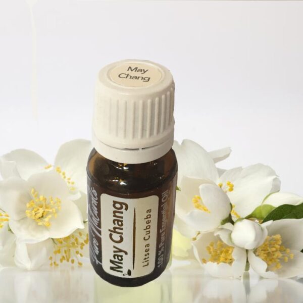 May Chang Litsea etheirsche olie bio toepassingen werking beste kopen