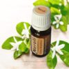 Neroli etherische olie beste keuze kopen huid