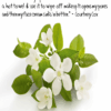 Neroli etherische olie oranjebloesem kopen
