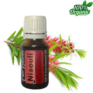 Niaouli biologische etherische olie