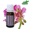 palmarosa essentiële olie aromatherapie biologisch