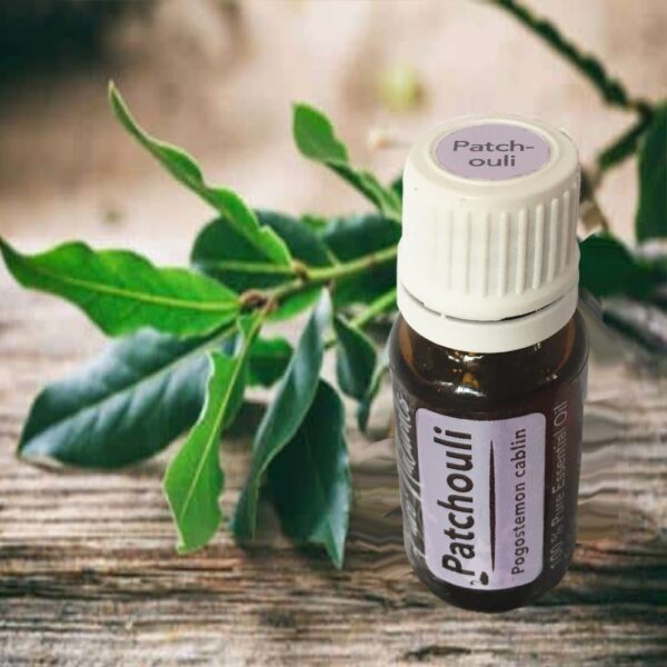 Patchouli etherische olie beste keuze biologisch