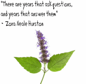 Patchouli qoute