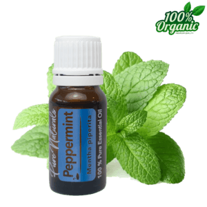 pepermunt etherische olie - biologisch - puur - aromatherapie