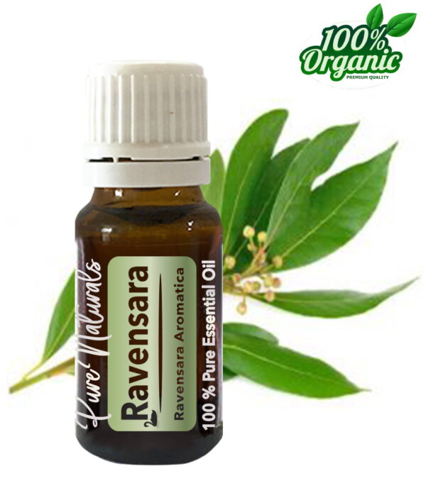 Ravensara essentiële olie - organic - biologisch - pure naturals