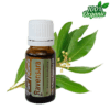 ravensara etherische olie - biologisch - puur - aromatherapie