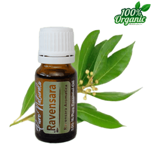 ravensara etherische olie - biologisch - puur - aromatherapie
