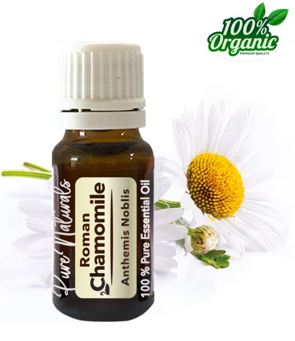 Roomse kamille essentiële olie - organic - biologisch - pure naturals