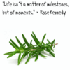 Rosemary Qoute
