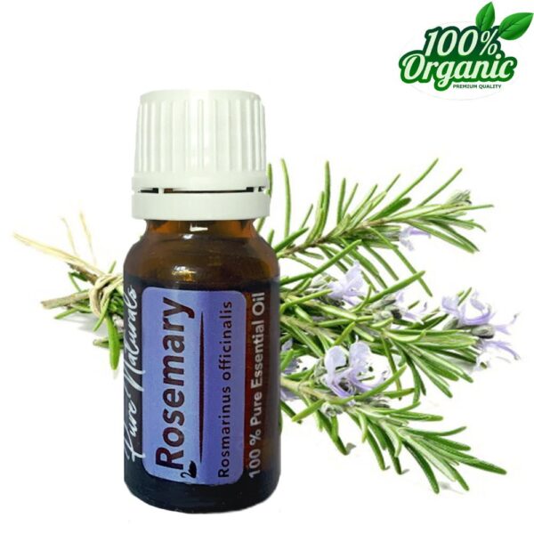 Rozemarijn biologische etherische olie kopen puur