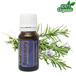 rozemarijn biologische etherische olie - aromatherapie