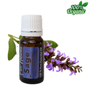 salie etherische olie - biologisch - puur - aromatherapie