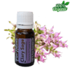 Scharlei PD scharlei etherische olie - biologisch - puur - aromatherpie - Clary sage