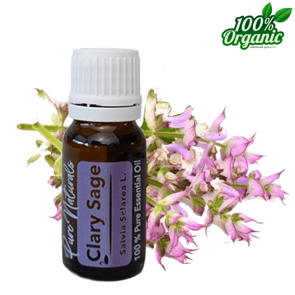 Scharlei PD scharlei etherische olie - biologisch - puur - aromatherpie - Clary sage