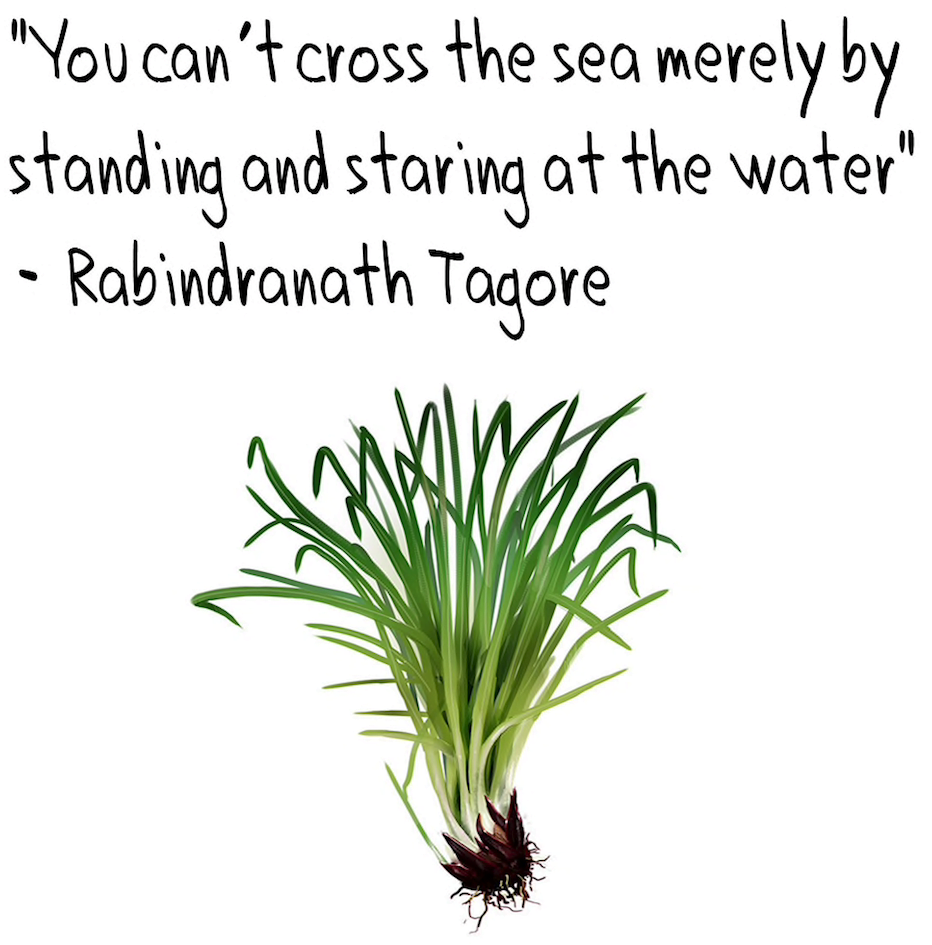 vetiver qoute