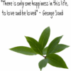 Bay Qoute