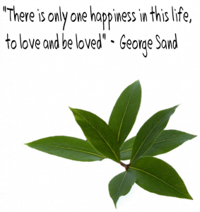 Bay Qoute