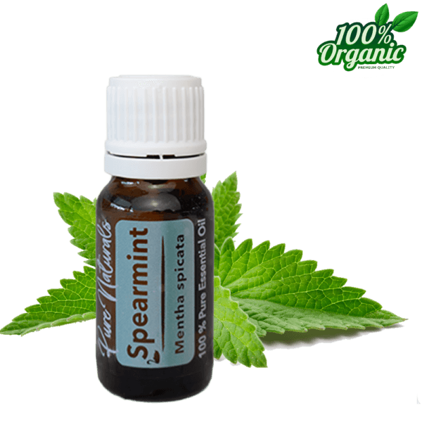 kruizemunt etherische olie - biologisch - puur - aromatherapie