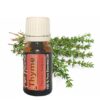 Tijm etherische olie - biologisch - puur - thyme essential oil best