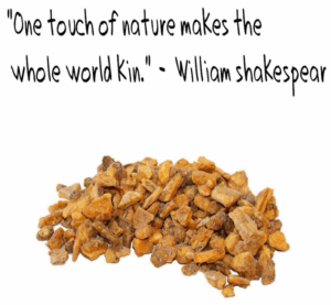 benzoin qoute