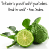 bergamot qoute bergamot qoute