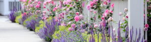 blikmakers voor in de tuin