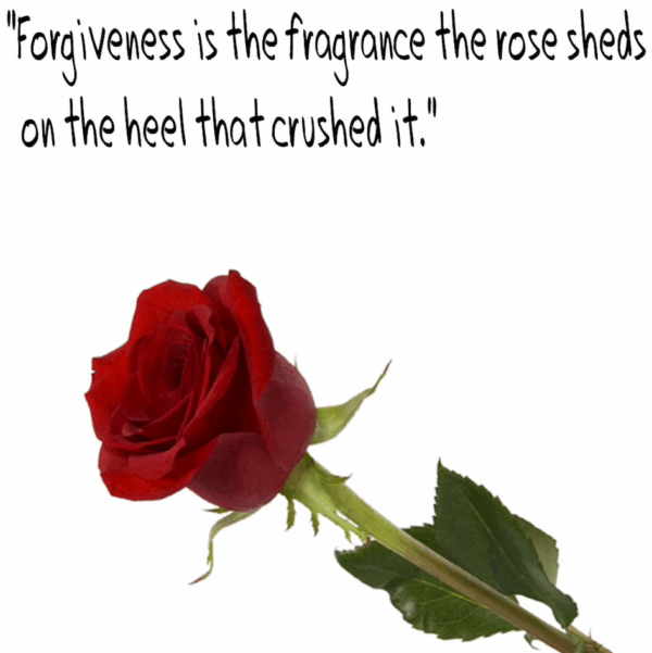 rozen toepassingen en werking