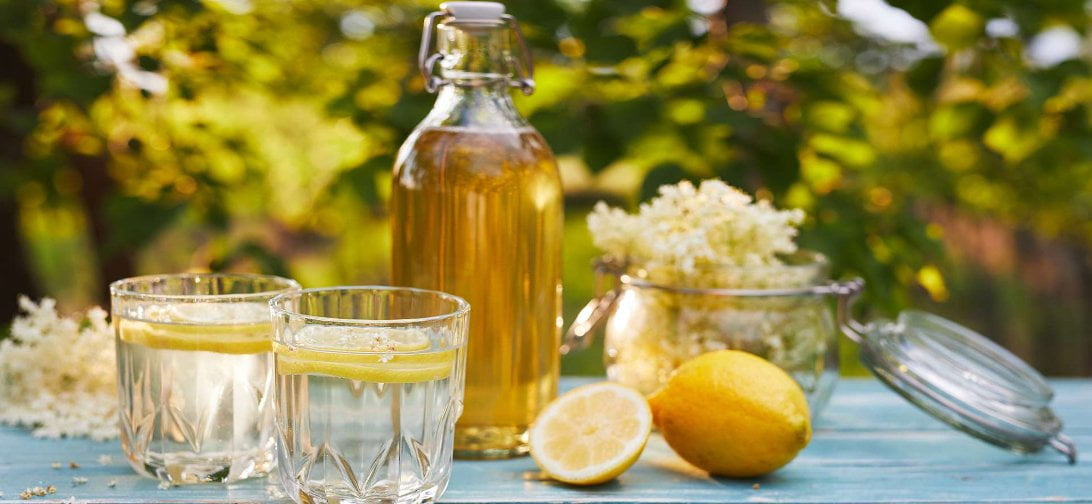 vlierbloesem siroop zelf maken recept