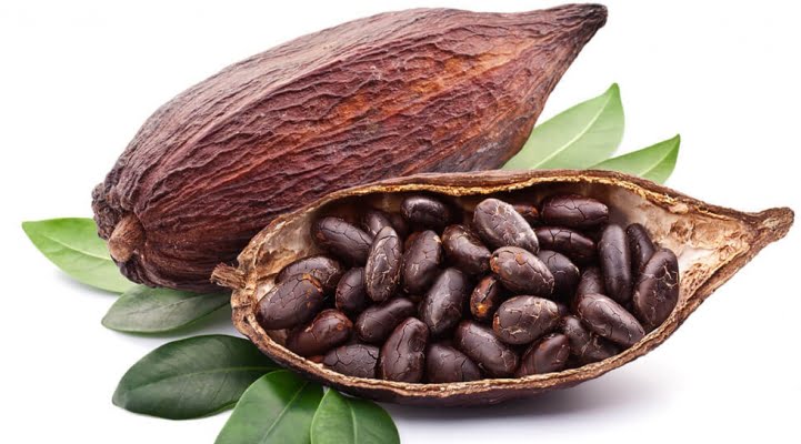 cacao boter
