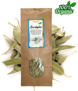gedroogde eucalyptus kruiden thee