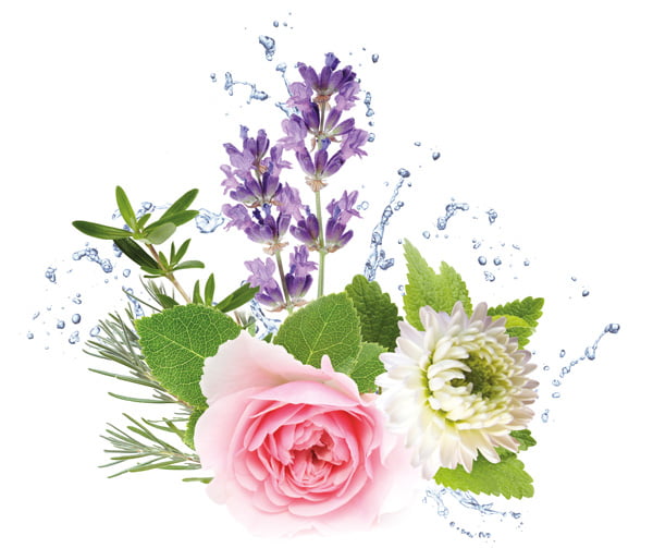 hydrolaten bloemenwaters