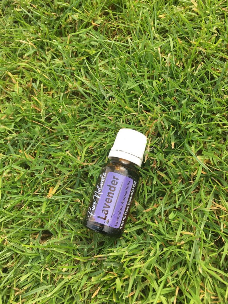 Afbeelding #1 van Daisy Vermeulen