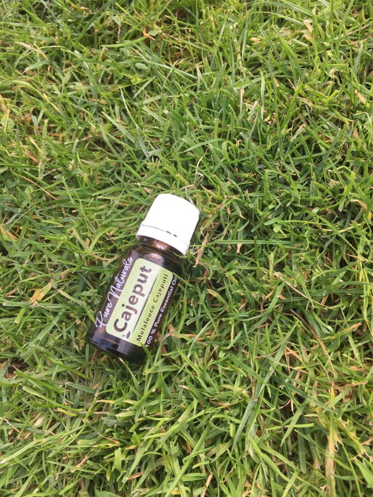 Afbeelding #1 van Daisy Vermeulen