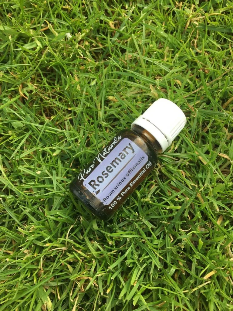 SVA Organics Biologische Rozemarijn Etherische Olie - 100% Zuiver, USDA Gecertificeerd - Voor Haar, Huid & Aromatherapie